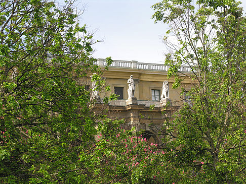 Hofgarten Fotos