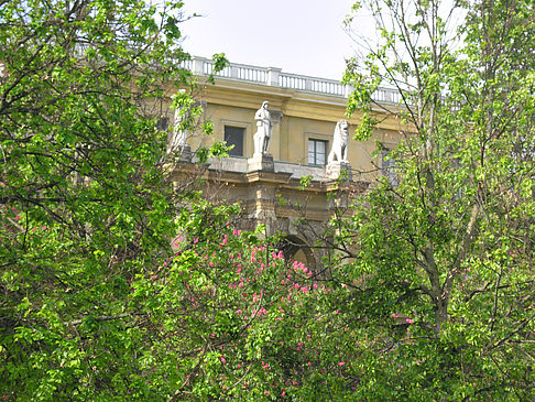 Foto Hofgarten - München