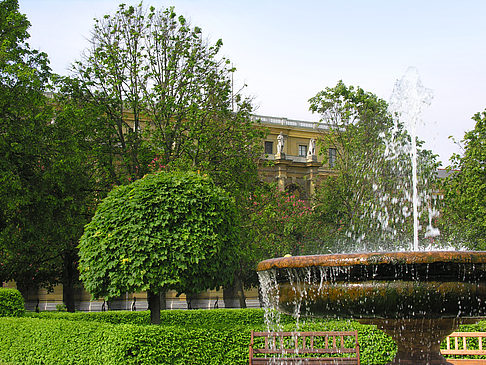 Foto Hofgarten
