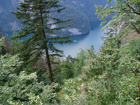 Blick auf See