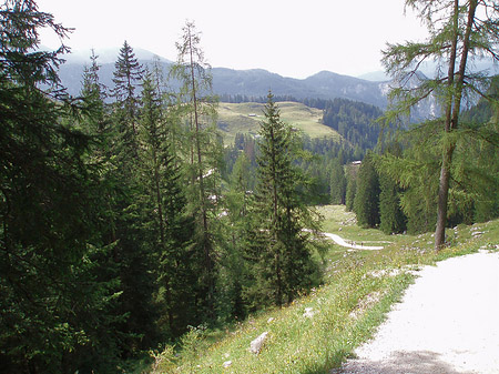 Fotos Wanderweg