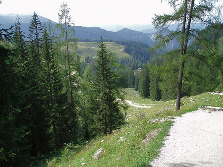 Foto Wanderweg - 