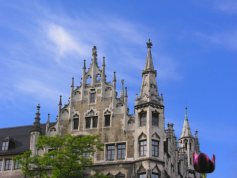 Neues Rathaus Foto 