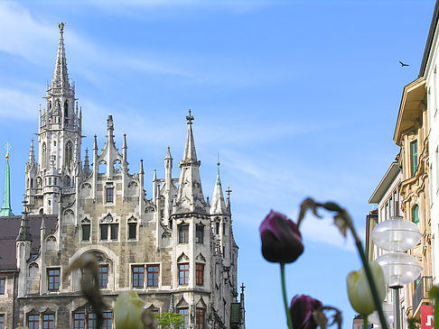 Neues Rathaus
