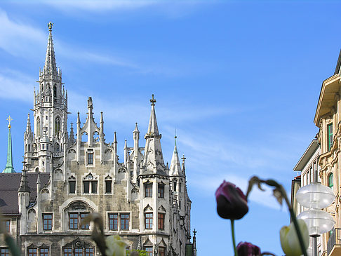Neues Rathaus Foto 