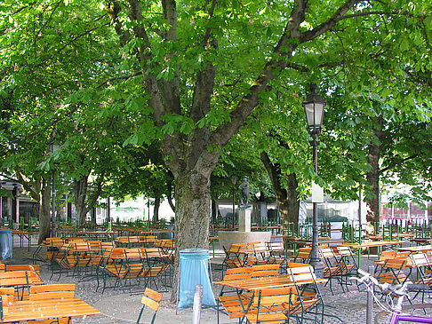 Fotos Biergarten am Viktualienmarkt